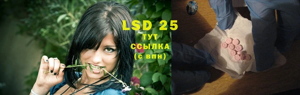 гидра Белокуриха