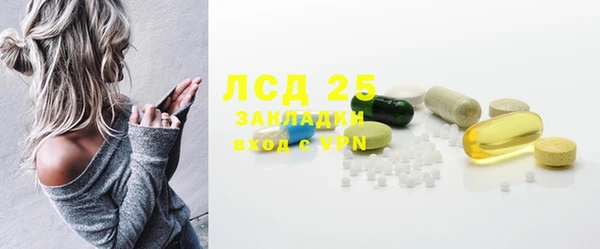 ПСИЛОЦИБИНОВЫЕ ГРИБЫ Богородицк