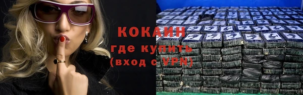 СК Бронницы