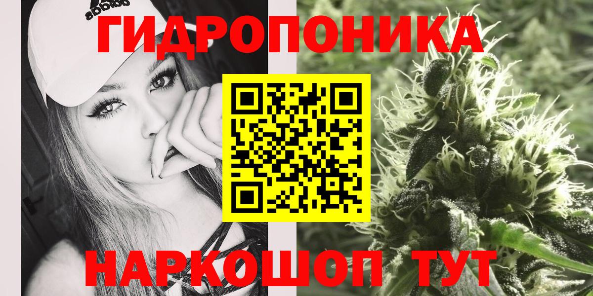 Каннабис планчик Обь